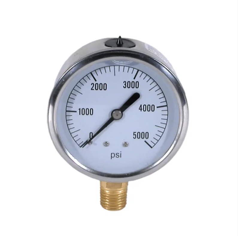 Stainless Steel Glycerin Pressure Gauge