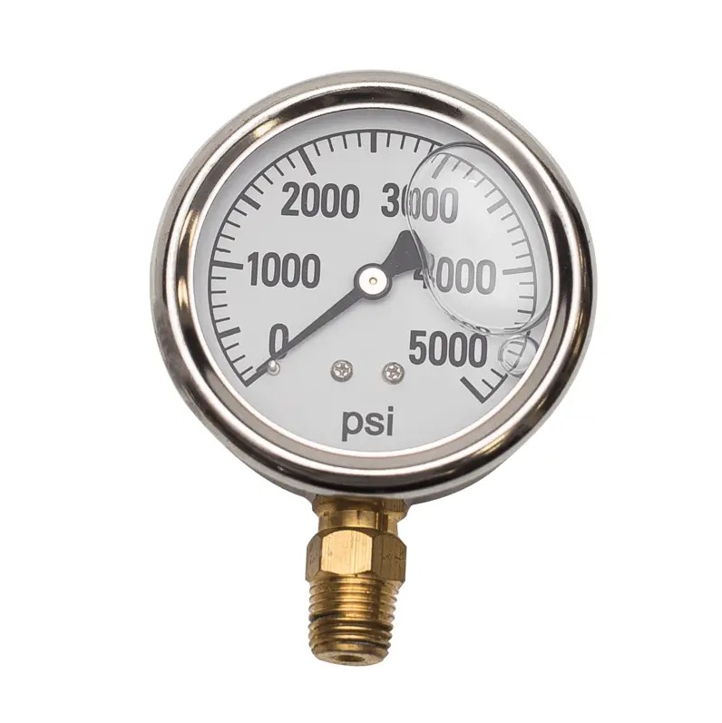 Stainless Steel Glycerin Pressure Gauge